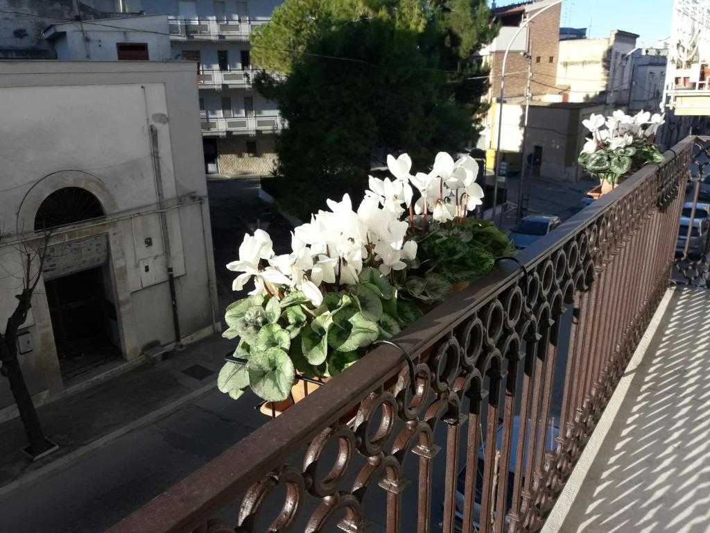 B&B Saffi, Canosa di Puglia